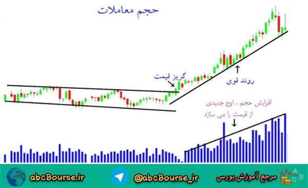 حمایت و مقاومت