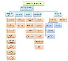 انواع بازار بورس